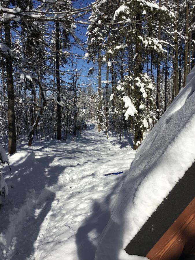 Chalubinskiego 41 - Loftaffair Zakopane Exteriér fotografie